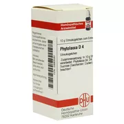 Produktabbildung: Phytolacca D 4 Globuli 10 g