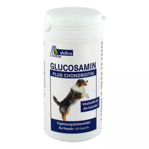 Glucosamin+Chondroitin für Hunde 60 St