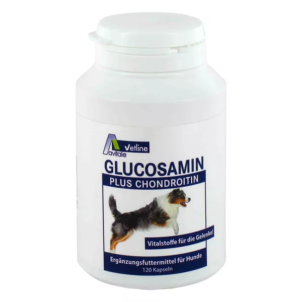 Glucosamin+Chondroitin für Hunde 120 St