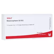 Mesencephalon GL D 12 Ampullen 10X1 ml