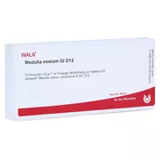 Medulla Ossium GL D 12 Ampullen 10X1 ml