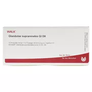 Glandulae Suprarenales GL D 8 Ampullen 10X1 ml