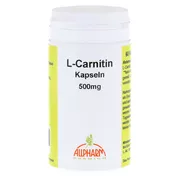 L-Carnitin 500 Kapseln 60 St