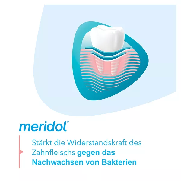 meridol Mundspülung Zahnfleischschutz antibakteriell, 400 ml