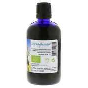 Schwarzkümmel BIO Ägyptisches Öl 100 ml