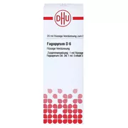 Fagopyrum D 6 Dilution 20 ml