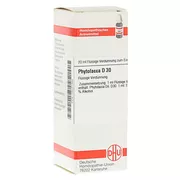 Phytolacca D 30 Dilution 20 ml