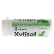 Xylitol Chewing Gum, Spearmint 30 St