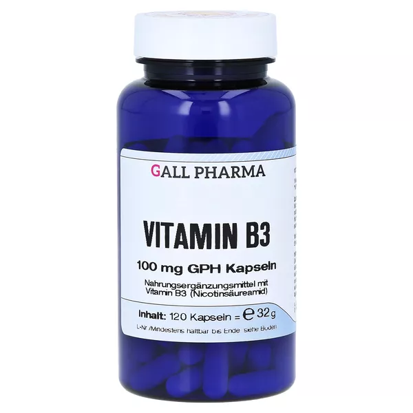 Vitamin B3 100 mg GPH Kapseln 120 St