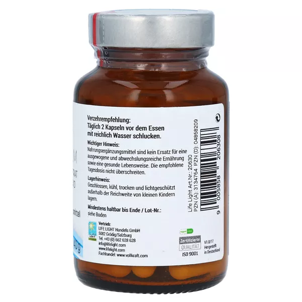 Magnesium 300 mg Kapseln 60 St