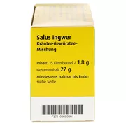Ingwer Kräuter-gewürztee Salus Filterbeu 15 St