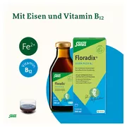 Floradix Eisen plus B12 Tonikum, 250 ml