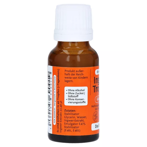 Ingwertropfen Dr.muches, 20 ml