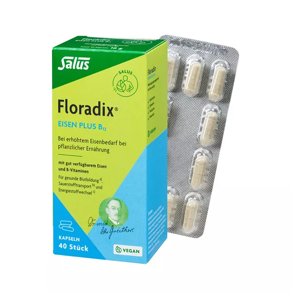 Floradix Eisen plus B12 Kapseln