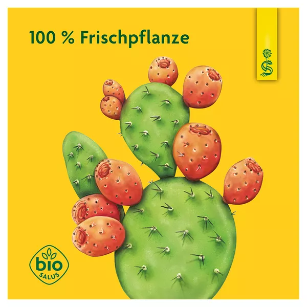 Schoenenberger Naturreiner Fruchtsaft Kaktusfeige 200 ml