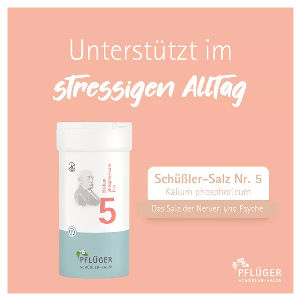 Schüßler-Salz Nr. 5 Kalium phosphoricum D6, 400 St.