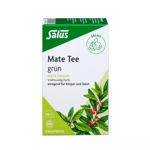 Vernederen Ambacht output MATE TEE grün Kräutertee Mate folium Bio, 15 St. online kaufen | DocMorris