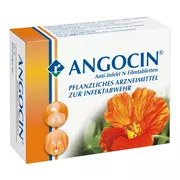 ANGOCIN Anti-Infekt N 100 St