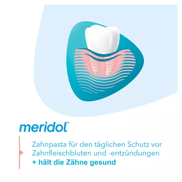 meridol Zahnpasta Schutz Zähne & Zahnfleisch 75 ml