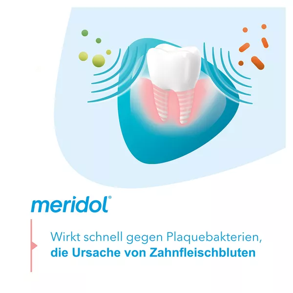 meridol Zahnpasta Schutz Zähne & Zahnfleisch 75 ml