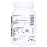 Coenzym Q10 Kapseln 100 mg, 120 St.