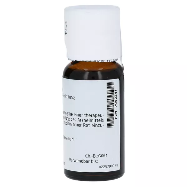 Taraxacum Urtinktur 50 ml