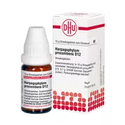 Produktabbildung: Harpagophytum Procumbens D 12 Globuli 10 g