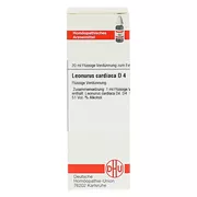 Leonurus Cardiaca D 4 Dilution 20 ml