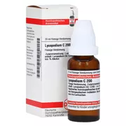 Lycopodium C 200 Dilution 20 ml