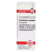 Latrodectus Mactans C 200 Globuli 10 g