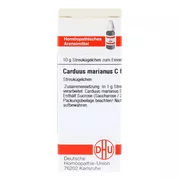 Carduus Marianus C 6 Globuli 10 g