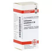 Collinsonia Canadensis C 30 Globuli 10 g