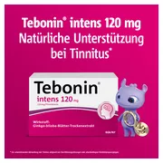 Tebonin intens 120 mg 30 St