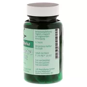 Schisandra 600 mg Kapseln 60 St