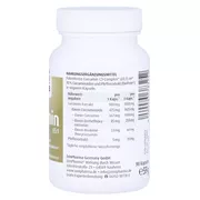 Curcuma Kapseln mit Triplex3 Extrakt 500 mg 90 St