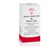 Produktabbildung: WALA Arnica e planta tota D6, Globuli velati 20 g
