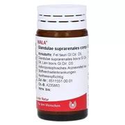 Glandulae Suprarenales Comp. 20 g