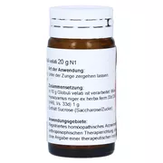 Hyoscyamus EX Herba D 6 Globuli 20 g