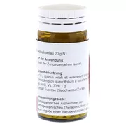 RHUS Toxicodendron E foliis D 6 Globuli 20 g