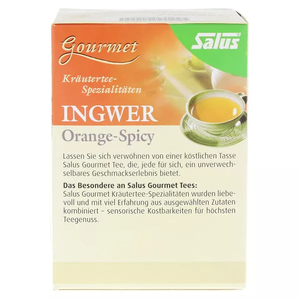 Ingwer Orange Spicy Tee Salus Filterbeut 15 St