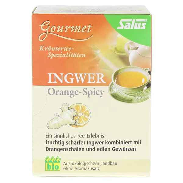 Ingwer Orange Spicy Tee Salus Filterbeut 15 St