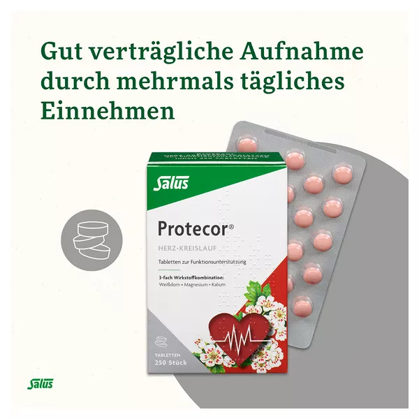 Protecor Herz-Kreislauf Tabletten zur Funktionsunterstützung, 250 St.
