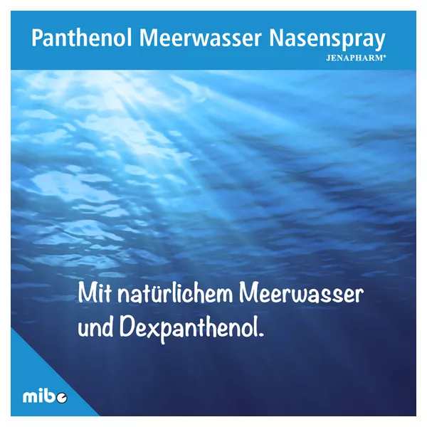 Panthenol Meerwasser Nasenspray JPH 20 ml