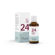 Schüßler-Salz Nr. 24 Arsenum jodatum D6, 30 ml