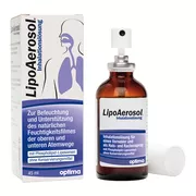 Lipoaerosol Liposomale Inhalationslösung 45 ml