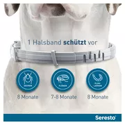 Seresto Halsband für kleine Hunde < 8 kg 1 St