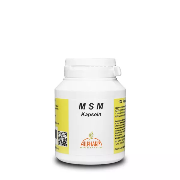 MSM 500 mg Kapseln, 100 St.