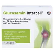 Glucosamin Intercell Kapseln 120 St