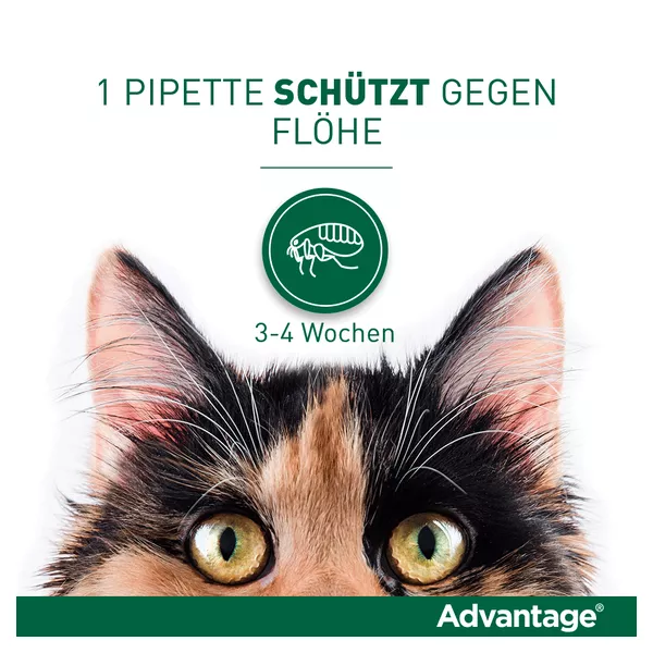 Advantage 40 mg für Katzen und Zierkaninchen bis 4 kg 4X0,4 ml