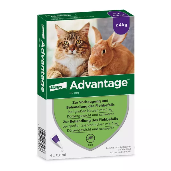 Advantage 80 mg für Katzen und Zierkaninchen über 4 kg 4X0,8 ml